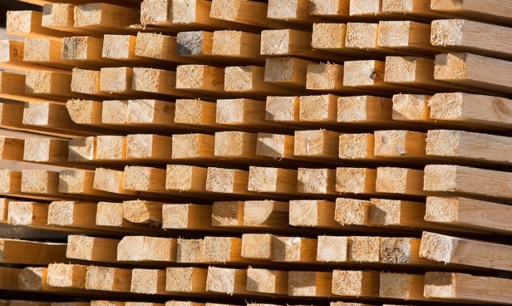 Trevirke-foto Gunnar Stenberg-Mostphotos