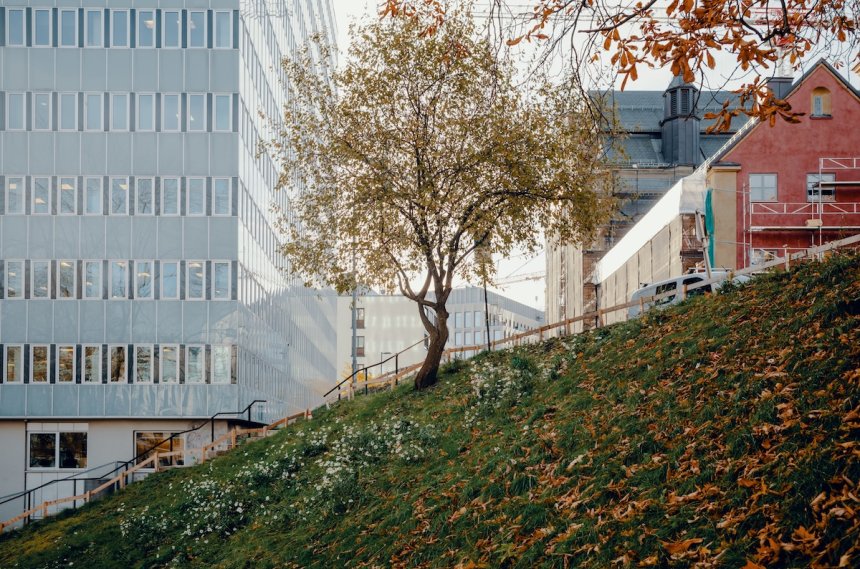 Blått kontorbygg, tre, rehab_Foto Ilja Hendel