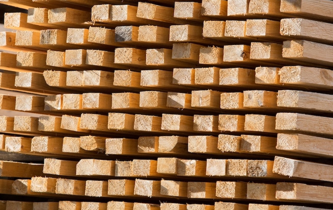 Trevirke-foto Gunnar Stenberg-Mostphotos